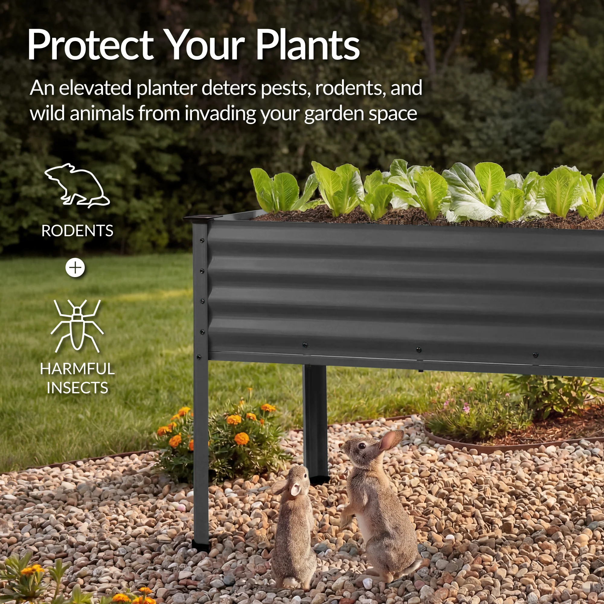 Product image 151