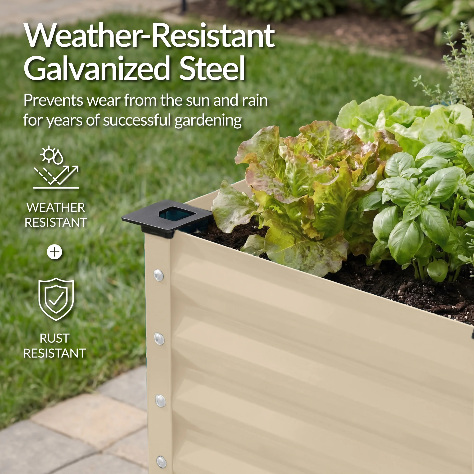 Product image 60