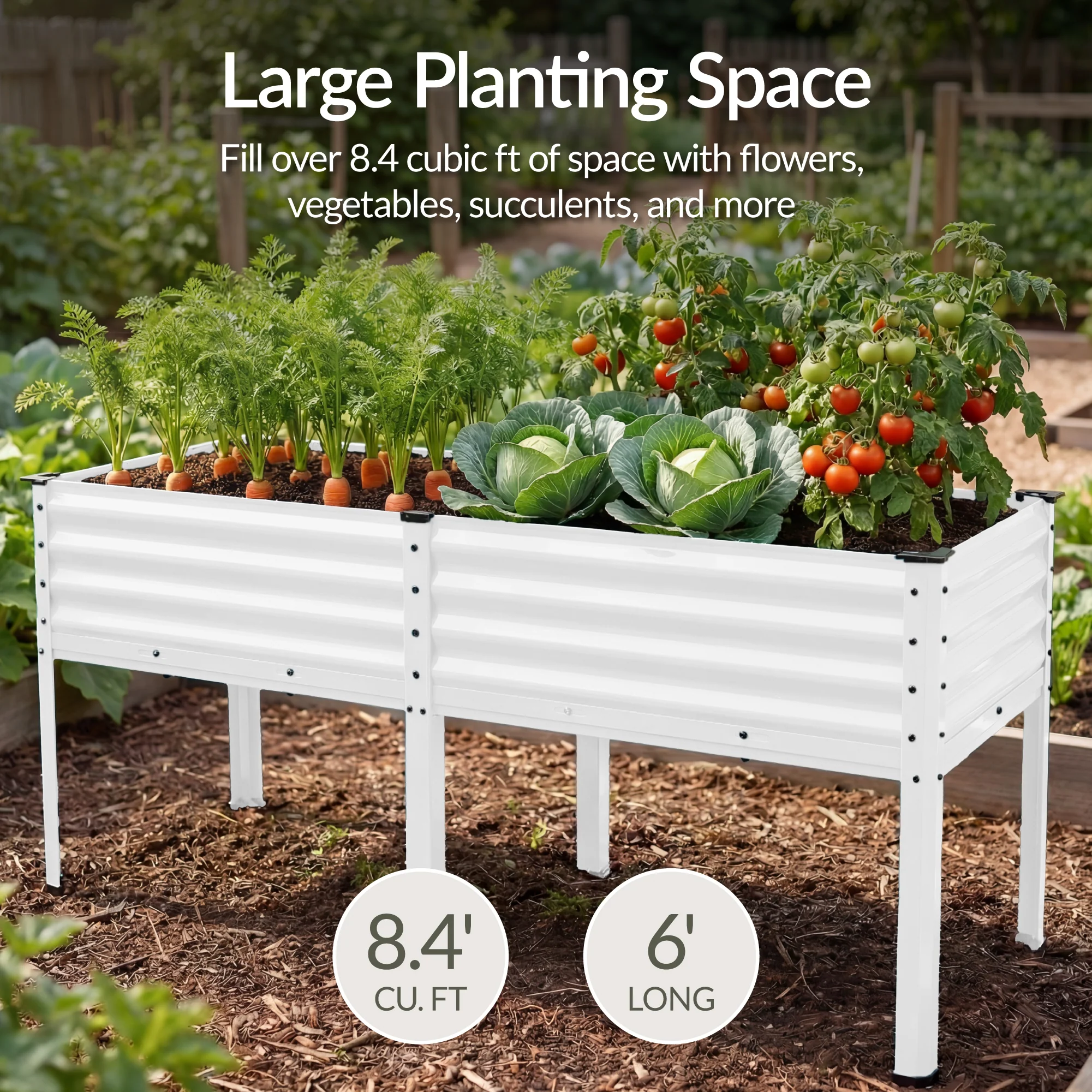Product image 76