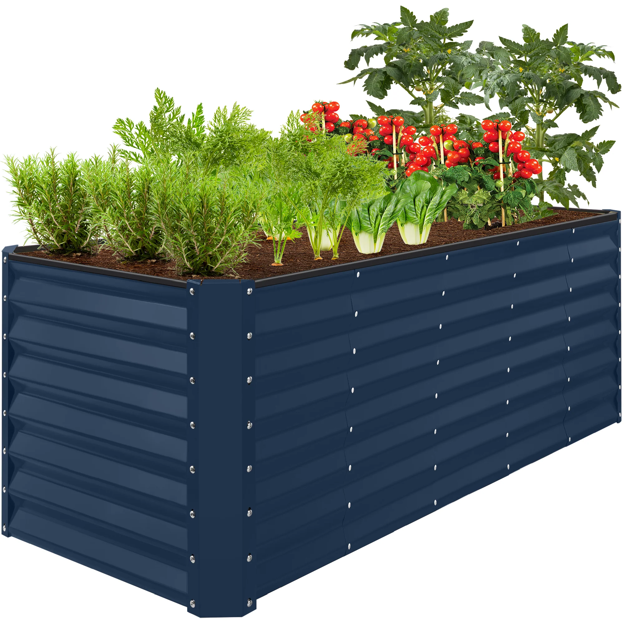 Product image 81
